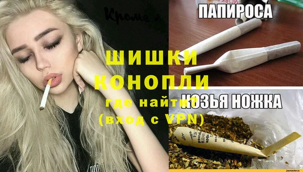 прущий лед Богданович