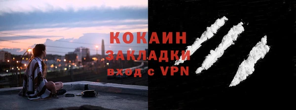 прущий лед Богданович