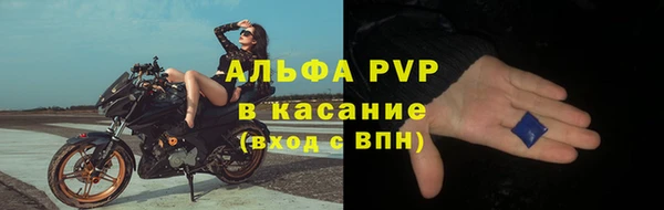 прущий лед Богданович