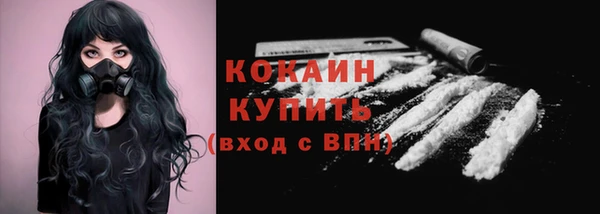 прущий лед Богданович