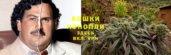 прущий лед Богданович