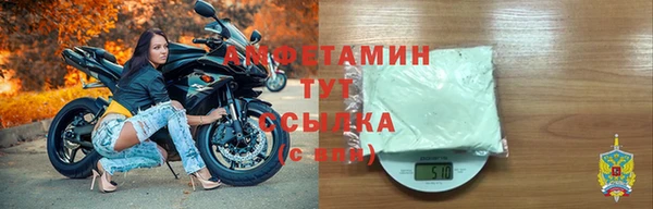прущий лед Богданович