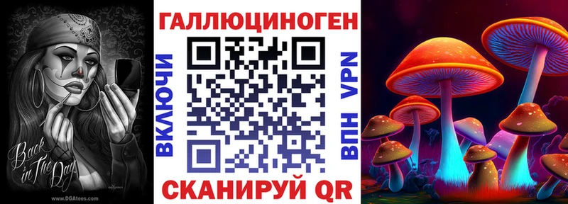 Купить где  Чаплыгин  Галлюциногенные грибы MAGIC MUSHROOMS 