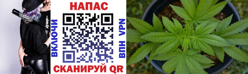 Бошки Шишки SATIVA & INDICA Чаплыгин